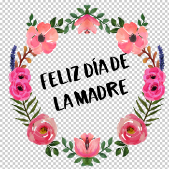 Feliz dia de la madre png