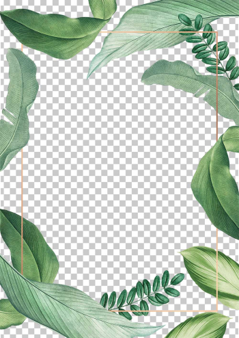 Hand drawn tropical leaves white poster transparent png