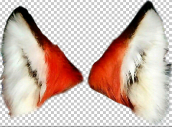 Fox Ears Without Face