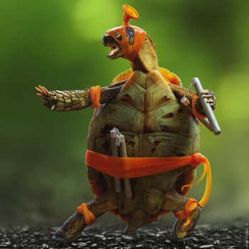 My Tortoise Likes To Cosplay