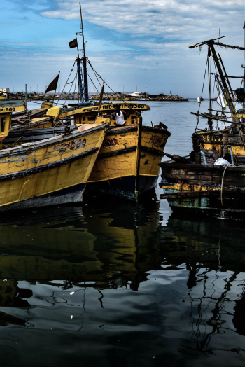 Ships at Bay