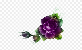 0 181fcf 22c08858 X5l - Decoupage Roses Png 0 181fcf 22c08858 X5l - Decoupage Roses Png