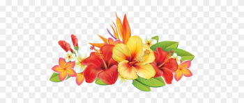 0 Cc5c4 B799d61a Xxxl - Tropical Flowers Vector Png