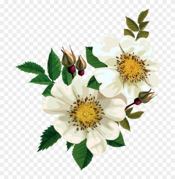 0 Comments - Wild Rose Flower 0 Comments - Wild Rose Flower