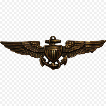 0506147919 United States Naval Aviator United States Navy United States Aviator Badge - pilot 