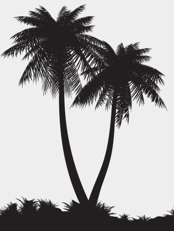 100+ Free Clipart Palm Tree Silhouette Free Images At Clker Com ...