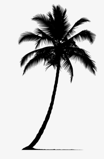 100+ Free Clipart Palm Tree Silhouette Free Images At Clker Com ...