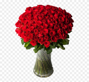 100 Red Roses - 100 Roses 100 Red Roses - 100 Roses