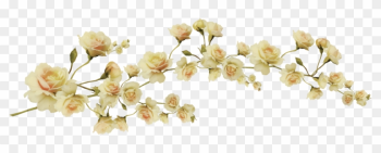1000 Images About Png Series - Aesthetic Flower Transparent 1000 Images About Png Series - Aesthetic Flower Transparent