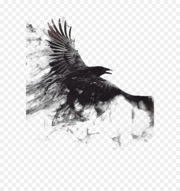 1080p 4K resolution High-definition television Mobile phone Wallpaper - Ink Crow 