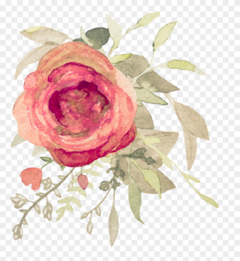 11 - Garden Roses