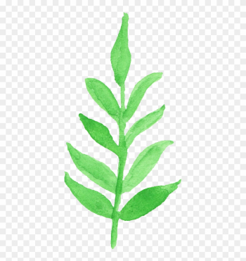 12 Watercolor - Watercolor Leaf Transparent 12 Watercolor - Watercolor Leaf Transparent