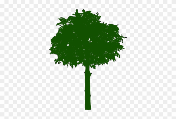 1205 Free Clipart Bare Tree Branches Public Domain - 1205 Free Clipart Bare Tree Branches Public Domain