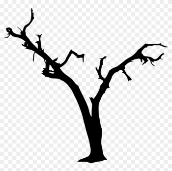 1269 × 1200 Px - Spooky Tree Silhouette 1269 × 1200 Px - Spooky Tree Silhouette