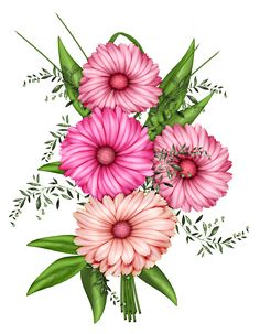 164 Best PNG Flowers images in 2019 | Flower art, Moldings ...