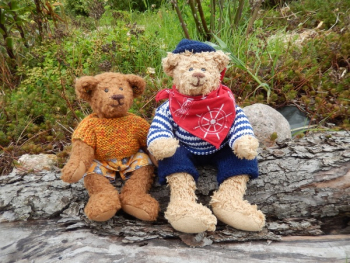 2 Brown Teddy Bear 2 Brown Teddy Bear