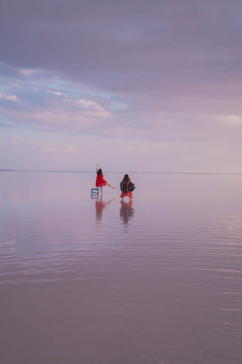 2 Person in Red and Black Wet Suit on Water · Free Stock Photo 2 Person in Red and Black Wet Suit on Water · Free Stock Photo