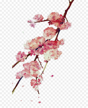2017 MINI Cooper Blossom - Vector plum blossom 2017 MINI Cooper Blossom - Vector plum blossom
