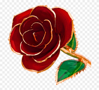 24k Gold-dipped Roses - 24 Karat Dipped Rose 24k Gold-dipped Roses - 24 Karat Dipped Rose