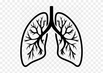 28 Collection Of Lungs Clipart Png - Lung Icon