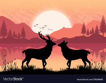 2d art design 2d art design