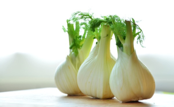 3 Fennel 3 Fennel