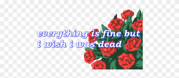 3119 D989 - Dead Rose Wallpaper Aesthetic 3119 D989 - Dead Rose Wallpaper Aesthetic