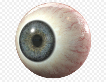 3D modeling Portable Network Graphics 3D computer graphics Human eye - eye 