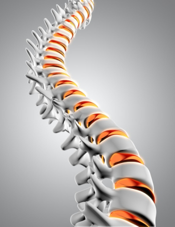 3d spine 3d spine