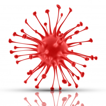 3D Virus cell