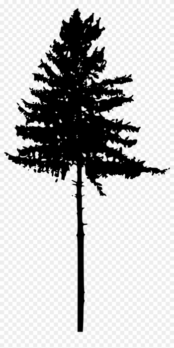 45 Tree Silhouettes Png Transparent Background - Pine Tree Silhouette Png