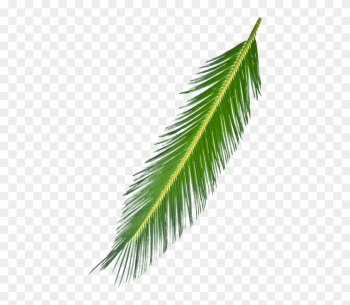 5 Kb, Free Download, C - Palm Leaf