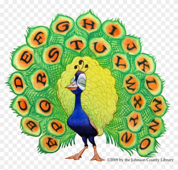 6 X 6 Skills - Peacock Alphabet 6 X 6 Skills - Peacock Alphabet