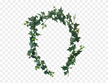 6ft Sage Ivy Garland 171 Leaves - Leaf Garland Png 6ft Sage Ivy Garland 171 Leaves - Leaf Garland Png