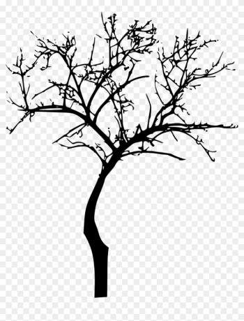 864 × 1064 Px - Black Tree Silhouette Transparent Background