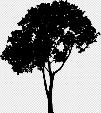 99+ Tree Free Vector Art 17347 Free Downloads. Tree Free Vector ...