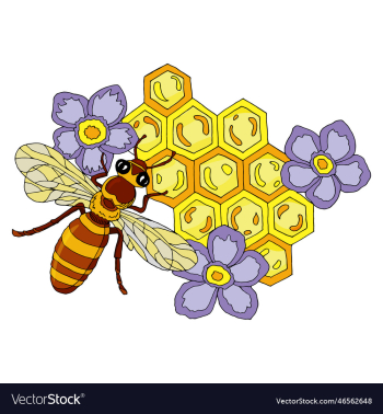 a bee flowers and honeycomb