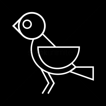 A bird