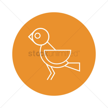 A bird A bird