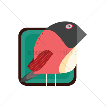 A bird
