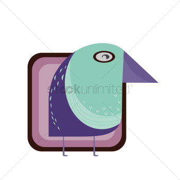 A bird
