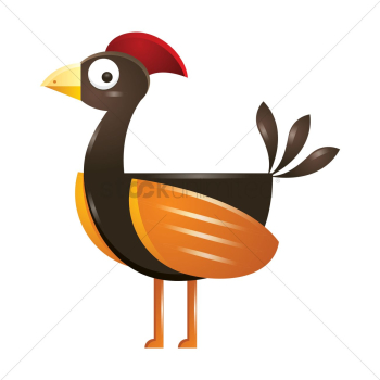 A bird A bird
