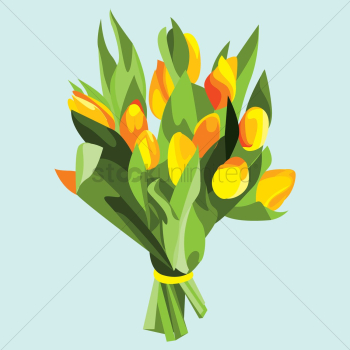 A bouquet of tulips flowers A bouquet of tulips flowers