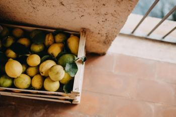 A Box Full Of Lemons A Box Full Of Lemons