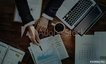 A business data analyst A business data analyst