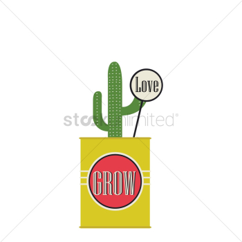 A cactus A cactus