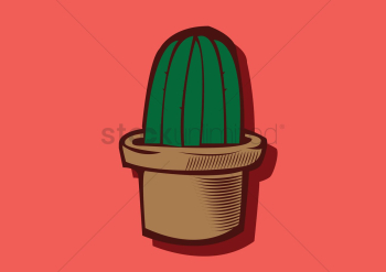 A cactus-pot A cactus-pot