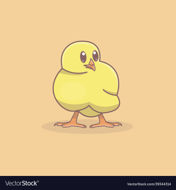 a cute yellow chicken a cute yellow chicken