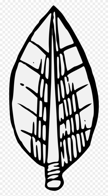 A Display Of Heraldrie Bay Laurel Leaf Clip Art - A Display Of Heraldrie Bay Laurel Leaf Clip Art