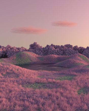 a field with purple flowers and trees in the background